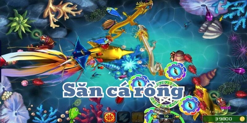 Đổi đời khi kiếm tiền từ game săn cá rồng