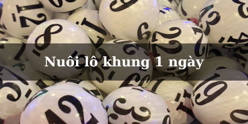 Nuôi lô khung 1 ngày giúp ích rất nhiều cho quá trình cá cược của lô thủ